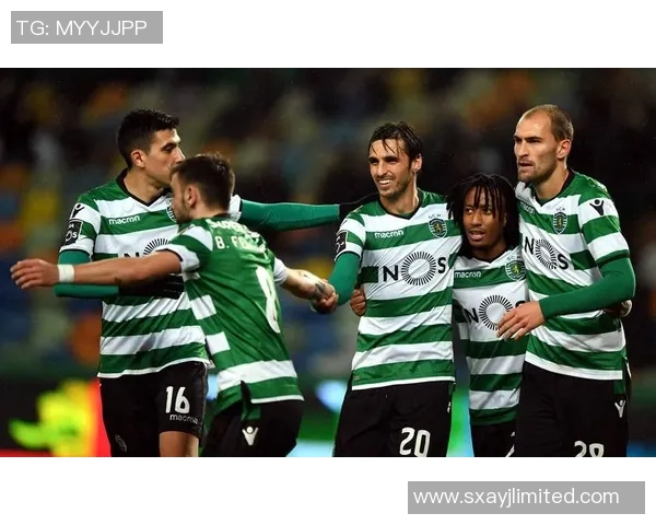 国内足球赛事球星盘点及其影响力分析，如何塑造中国足球未来发展