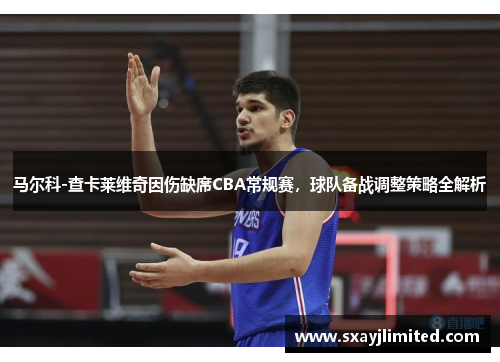 马尔科-查卡莱维奇因伤缺席CBA常规赛，球队备战调整策略全解析